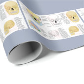 Menselijke Anatomie Menselijke schedel kleur geïll Cadeaupapier (Rol Hoek)