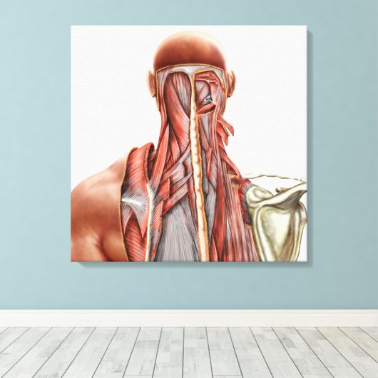 Menselijke anatomie met diepe spieren in de nek canvas afdruk (Insitu (Houten vloer))
