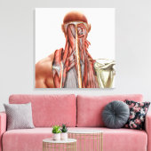 Menselijke anatomie met diepe spieren in de nek canvas afdruk (Insitu (Woonkamer))