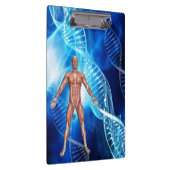 Menselijke anatomie met DNA-strengen Klembord (Rechts)