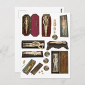 menselijke anatomie poppen lichaamsdelen collage briefkaart (Voorkant / Achterkant)