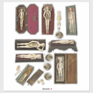 menselijke anatomie poppen lichaamsdelen collage sticker