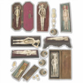 menselijke anatomie poppen lichaamsdelen collage sticker (Voorkant)
