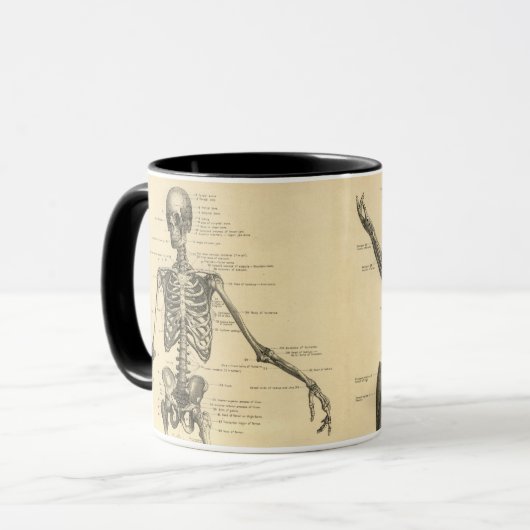 Menselijke anatomie Skelet en spieren van het lich Mok (Voorkant links)