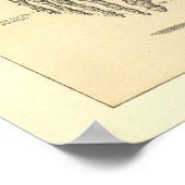 Menselijke anatomie Skelet en spieren van het lich Poster (Hoek)