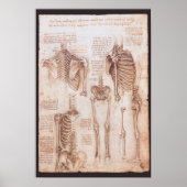 Menselijke anatomie skeletbotten door Leonardo da Poster (Voorkant)