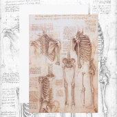 Menselijke anatomie Skeleton Botten van Leonardo d