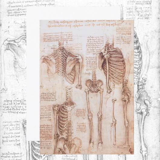 Menselijke anatomie Skeleton Botten van Leonardo d