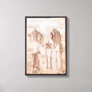 Menselijke anatomie Skeleton Botten van Leonardo d Canvas Afdruk