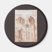 Menselijke anatomie Skeleton Botten van Leonardo d Magneet (Voorkant)