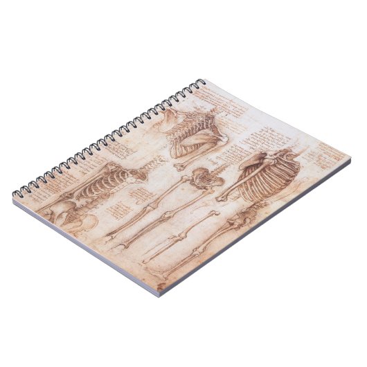 Menselijke anatomie Skeleton Botten van Leonardo d Notitieboek (Linkerzijde)