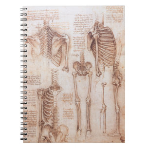Menselijke anatomie Skeleton Botten van Leonardo d Notitieboek