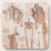 Menselijke anatomie Skeleton Botten van Leonardo d Onderzetter (Voorkant)