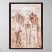 Menselijke anatomie Skeleton Botten van Leonardo d Poster (Voorkant)