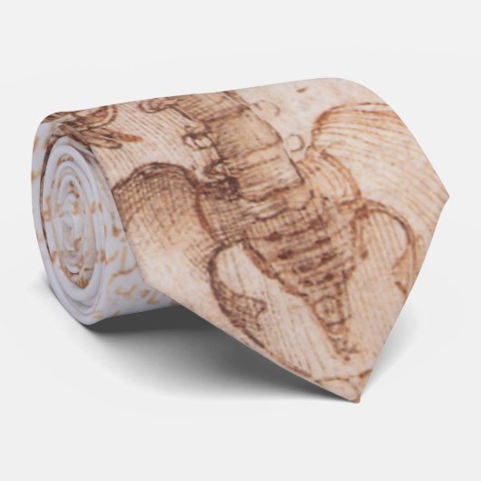 Menselijke anatomie Skeleton Botten van Leonardo d Stropdas (Opgerold)