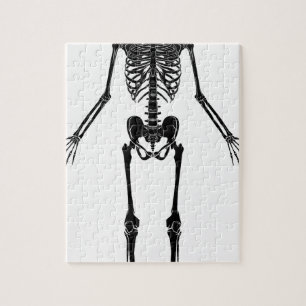 Menselijke anatomie Skeleton Legpuzzel