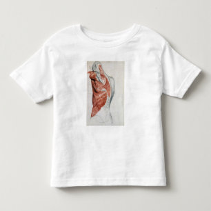 menselijke anatomie; Spieren van de Torso en schou Kinder Shirts