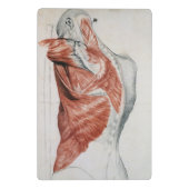 menselijke anatomie; Spieren van de Torso en schou Mini Klembord (Achterkant)