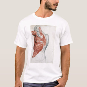 menselijke anatomie; Spieren van de Torso en schou T-shirt