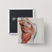 menselijke anatomie; Spieren van de Torso en schou Vierkante Button 5,1 Cm (Voorkant /achterkant)
