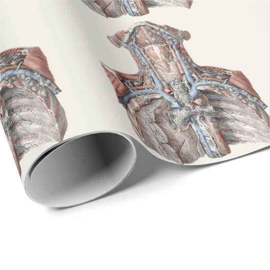  menselijke anatomie Throat, nek, borst, ribben Cadeaupapier (Rol Hoek)