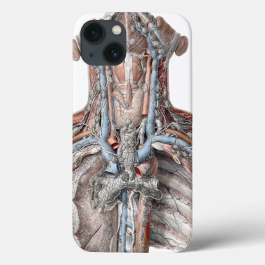 menselijke anatomie Throat, nek, borst, ribben Case-Mate iPhone Case (Achterkant)