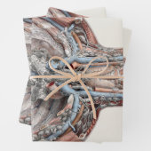 menselijke anatomie Throat, nek, borst, ribben Inpakpapier Vel (In situ)