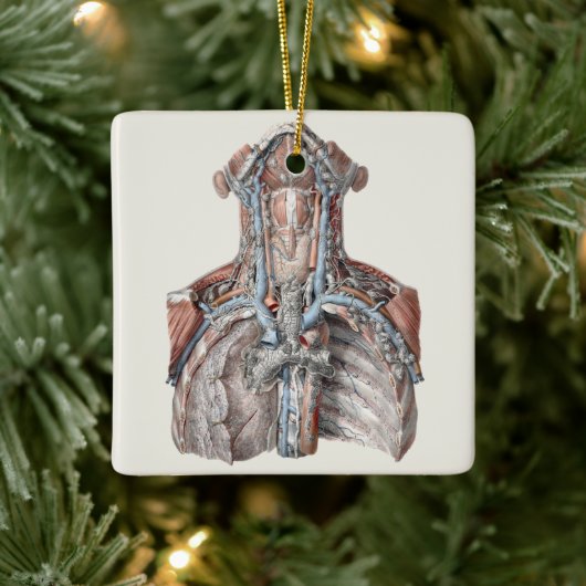menselijke anatomie Throat, nek, borst, ribben Keramisch Ornament (Boom)