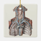 menselijke anatomie Throat, nek, borst, ribben Keramisch Ornament (Achterkant)