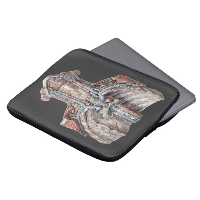  menselijke anatomie Throat, nek, borst, ribben Laptop Sleeve (Voorkant top)