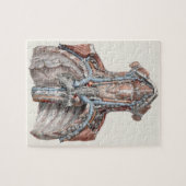 menselijke anatomie Throat, nek, borst, ribben Legpuzzel (Horizontaal)