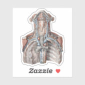  menselijke anatomie Throat, nek, borst, ribben Sticker (Vel)