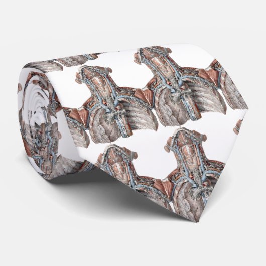  menselijke anatomie Throat, nek, borst, ribben Stropdas (Opgerold)