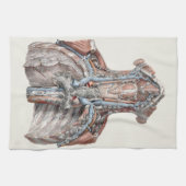  menselijke anatomie Throat, nek, borst, ribben Theedoek (Horizontaal)