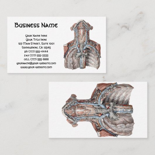  menselijke anatomie Throat, nek, borst, ribben Visitekaartje (Voorkant / Achterkant)