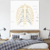 Menselijke anatomie van de borst canvas afdruk (Insitu (Slaapkamer))