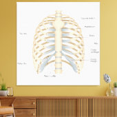 Menselijke anatomie van de borst canvas afdruk (Insitu (Woonkamer))