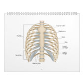 Menselijke anatomie van de borst kalender (Hoes)