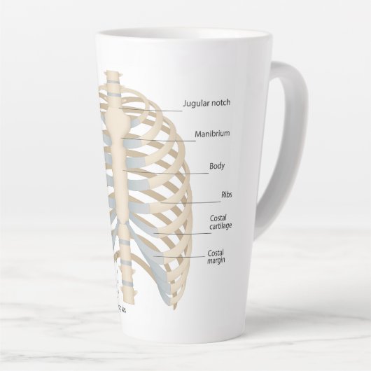 Menselijke anatomie van de borst latte mok (Rechterhoek)