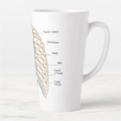 Menselijke anatomie van de borst latte mok (Rechts)