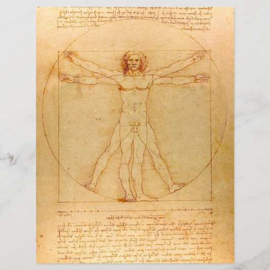Menselijke anatomie, Vitruviaans Man van Leonardo Flyer (Voorkant)