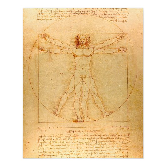 Menselijke anatomie, Vitruviaans Man van Leonardo  Foto Afdruk (Voorkant)