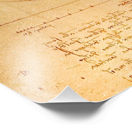 Menselijke anatomie, Vitruviaans Man van Leonardo Foto Afdruk (Hoek)