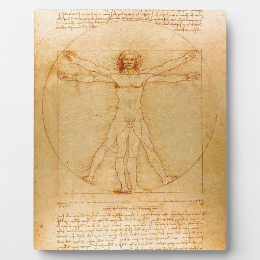 Menselijke anatomie, Vitruviaans Man van Leonardo Fotoplaat (Voorkant)