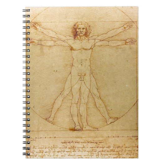 Menselijke anatomie, Vitruviaans Man van Leonardo Notitieboek (Voorkant)