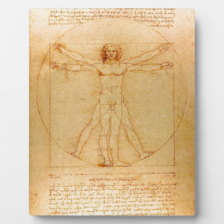 Menselijke anatomie, Vitruvian Man van Leonardo da Fotoplaat