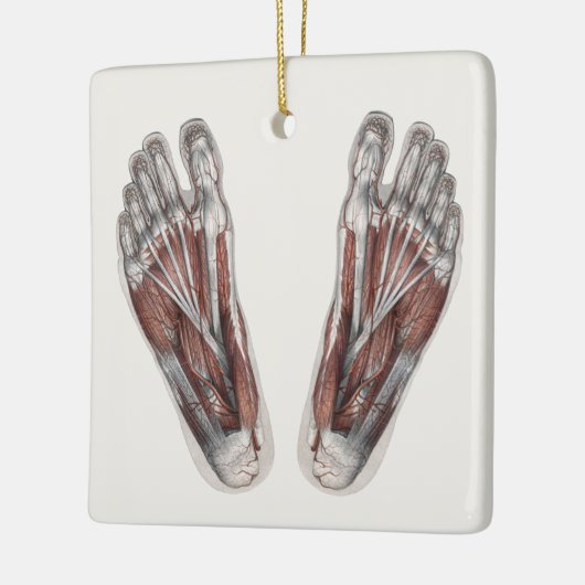 menselijke anatomie Voetafdruk podiatry Feet Keramisch Ornament (Links)