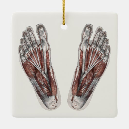  menselijke anatomie Voetafdruk podiatry Feet Keramisch Ornament (Achterkant)