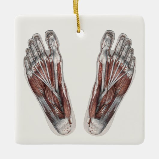  menselijke anatomie Voetafdruk podiatry Feet Keramisch Ornament (Voorkant)