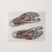 menselijke anatomie Voetafdruk podiatry Feet Legpuzzel (Horizontaal)